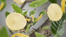 Anti-Odours Kitchen - Green & Zesty