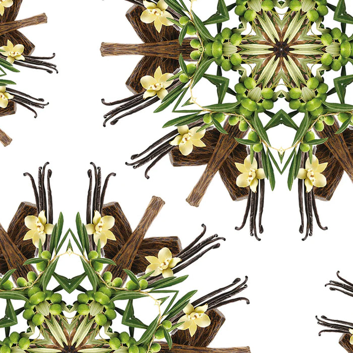 Under the Olive Tree