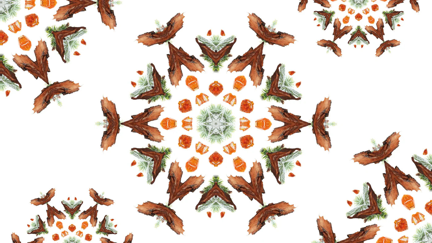 My Home Free from Tobacco Odour