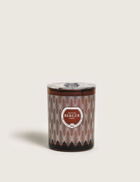 Evanescence Fauve Scented Candle 240g - Mystic Leather