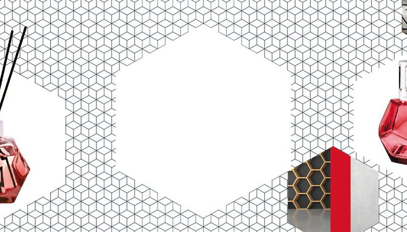 Geometry Collection