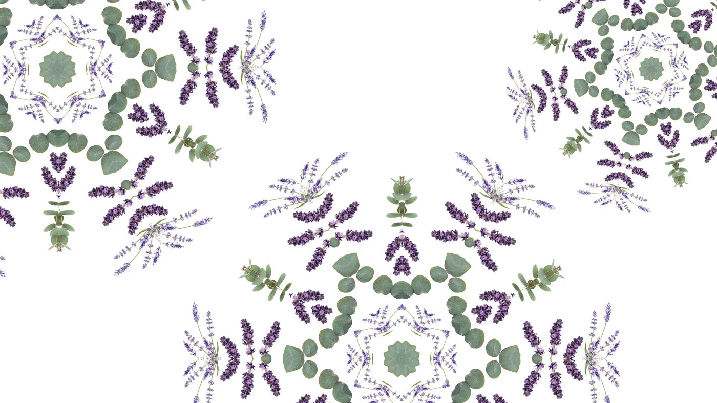 Lavender Fields