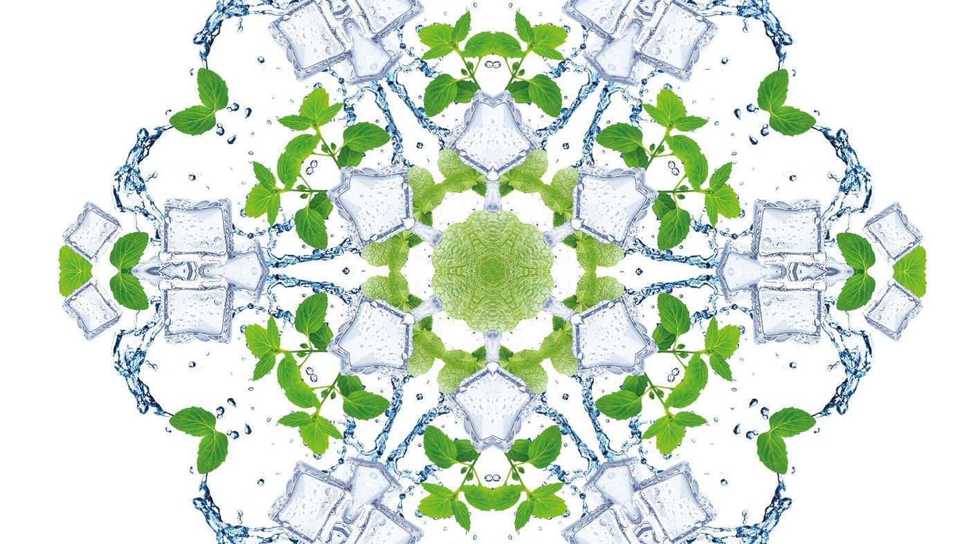 Water Mint