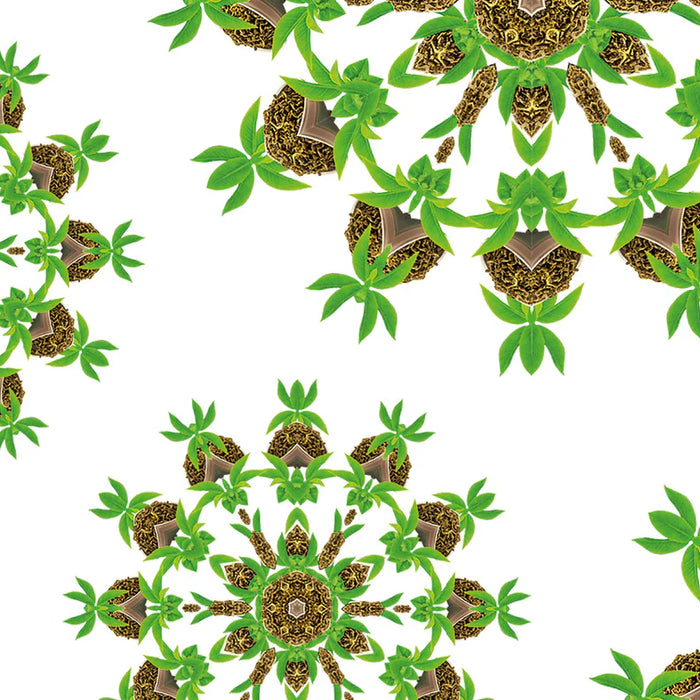 Imperial Green Tea