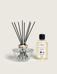 Glacon Grey Lamp Gift Set with Pure White Tea