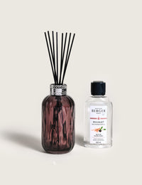 Glacon Grey Lamp Gift Set with Pure White Tea