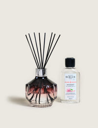 Molecule Prune Scented Bouquet