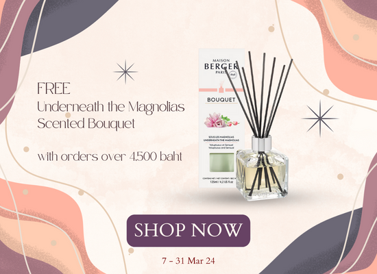 Maison berger pantip deals