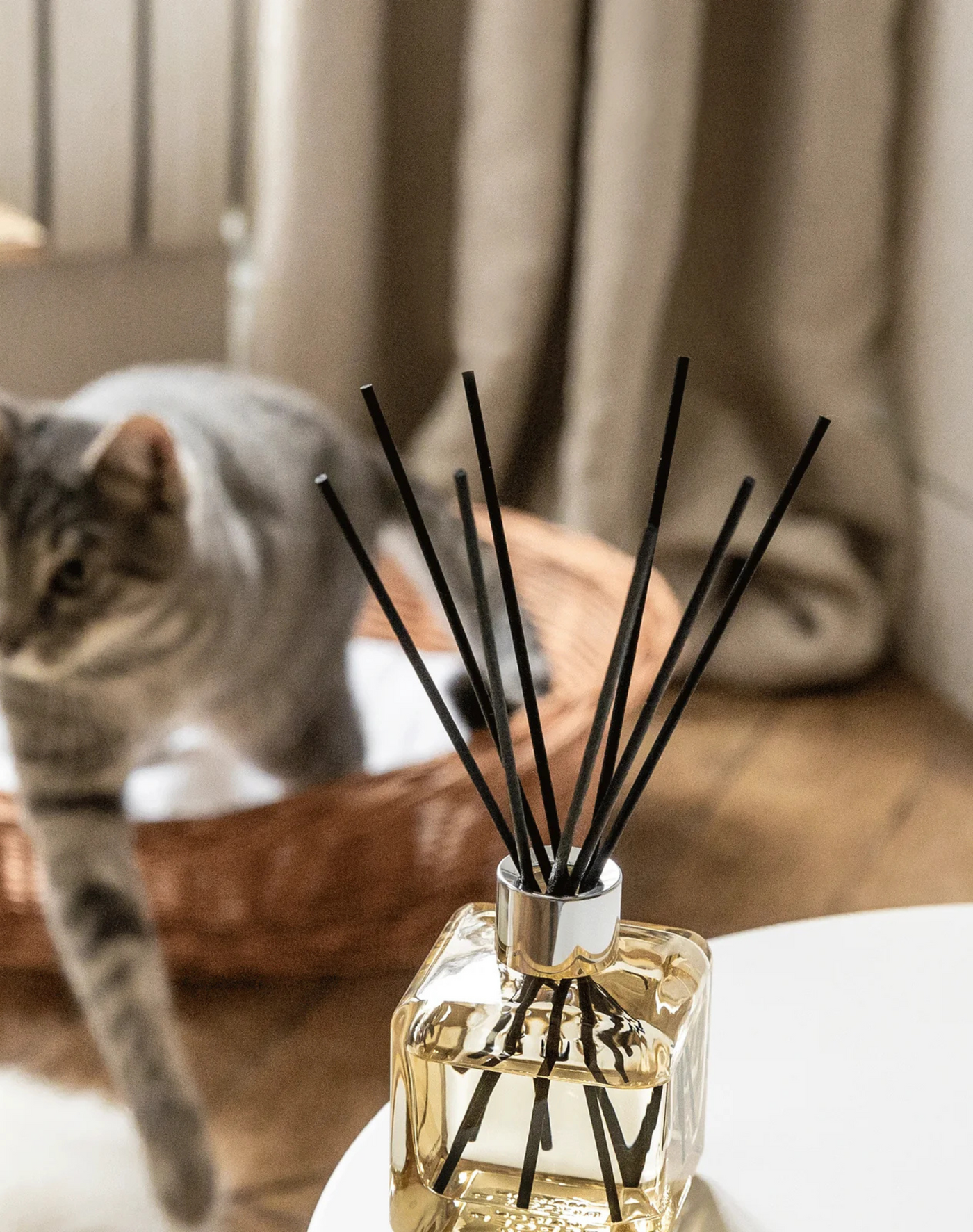 My Home Free from Pet Odours Scented Bouquet