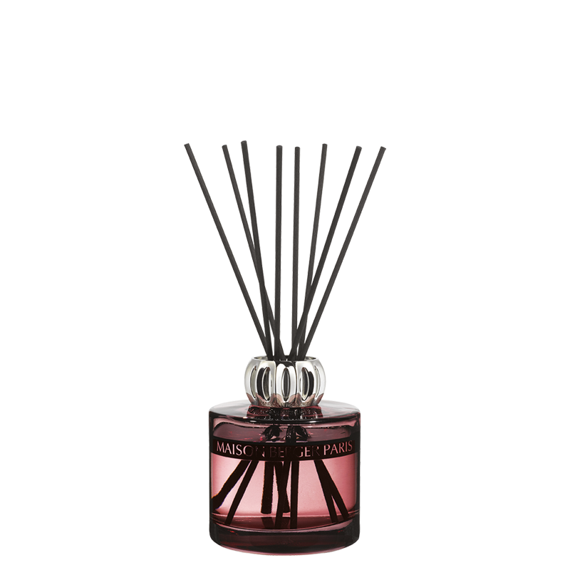 Black Angelica Duality Scented Bouquet - Maison Berger Thailand